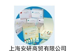 丙酮酸测试盒 实验室必备的生物试剂与设备解析